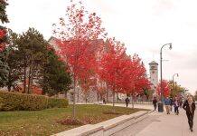 加拿大女王大学本科生和研究生招生介绍