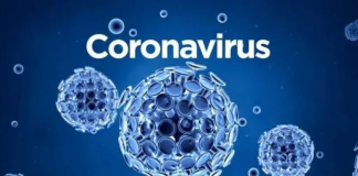 西媒:拉美百万儿童或因新冠疫情永久辍学