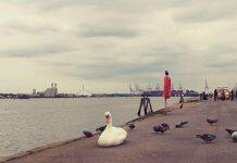 留学英国|排名不高,但专业很牛的英国大学有哪些?