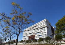 2021国际本科4+0高校招生政策详解