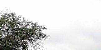 美国本科学费报告发布,去美国留学究竟有多贵呢?