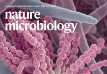 澳门大学真菌研究新突破有助减低免疫力弱人群受真菌感染