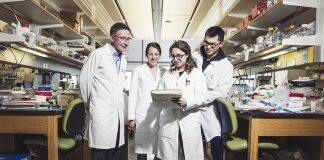 美国南加大Keck医学院研究人员设计一个独特的“孵化器”