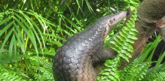 温州肯恩大学与中铁信托和中国绿发会签三方合作协议