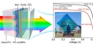 上海大学中欧学院徐韬副教授课题组在《Advanced Science》上发表最新研究成果