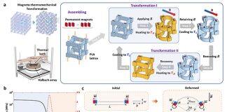 上海交通大学密西根学院教师Jaehyung Ju课题组提出磁-热力可重新编程机械超材料设计