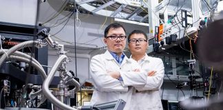 新加坡南洋理工大学科研 | 替代材料使计算机快速访问信息的新方法