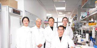 武汉大学宋威和叶旭军团队Nature发文揭示肿瘤与肾脏互作的新机制