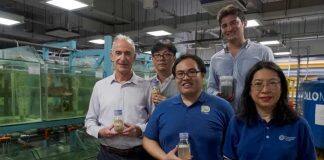 新加坡南洋理工大学为绿色水产养殖业铺平道路