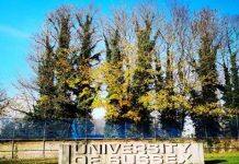 2024软科世界一流学科排名发布 英国萨塞克斯大学五个学科全球前百