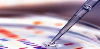 英国萨里大学两项博士生培养计划获得英国研究与创新署的重要资助