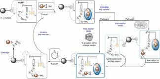 南京大学姚祝军/刘发团队在空间大位阻多肽的自动化固相合成中取得突破性进展
