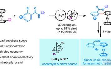 周强辉/程鸿刚团队在平面手性二茂铁合成领域取得新突破